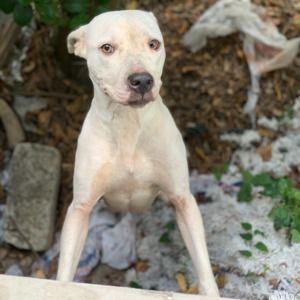 Meet your Posher, Fn